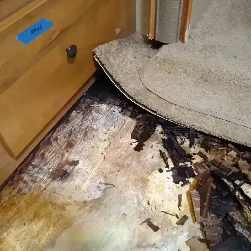 Best Wood Floor Water Damage Service in Ingram, PA